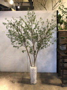 ドウダンツツジ