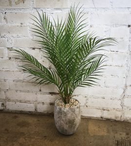 パームリーフ